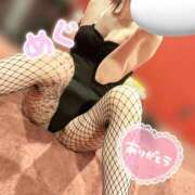 ヒメ日記 2026/03/12 16:34 投稿 メグミ　【艶やかなお姉さんバニー】 ドMなバニーちゃん和歌山店