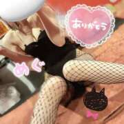 ヒメ日記 2026/04/02 01:17 投稿 メグミ　【艶やかなお姉さんバニー】 ドMなバニーちゃん和歌山店