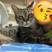 ヒメ日記 2026/06/14 10:44 投稿 アミカ　【ご奉仕の向こう側へ】 ドMなバニーちゃん和歌山店