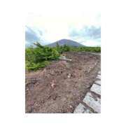 ヒメ日記 2025/07/08 14:29 投稿 ことね 池袋人妻アデージョ