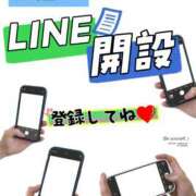 ヒメ日記 2025/11/13 10:29 投稿 しずく パンドラ(上野)