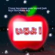 ヒメ日記 2025/11/23 18:55 投稿 しずく パンドラ(上野)