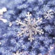 ヒメ日記 2026/01/20 21:23 投稿 しずく パンドラ(上野)