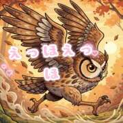 ヒメ日記 2026/02/20 23:01 投稿 しずく パンドラ(上野)