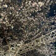 ヒメ日記 2025/04/14 22:45 投稿 あむ ヌーベル・マリエ