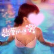 ヒメ日記 2025/04/15 12:17 投稿 あむ ヌーベル・マリエ