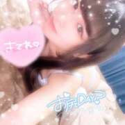 ヒメ日記 2025/12/29 02:37 投稿 あむ ヌーベル・マリエ