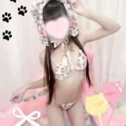 ヒメ日記 2025/05/24 16:46 投稿 めあ みせいじゅく