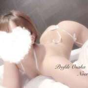 ヒメ日記 2025/01/17 16:32 投稿 のえる プロフィール 大阪店