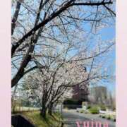 北浜ゆいな ご報告 奴隷志願！変態調教飼育クラブ梅田店