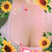 ヒメ日記 2025/09/19 10:45 投稿 くみ 脱がされたい人妻 宇都宮店