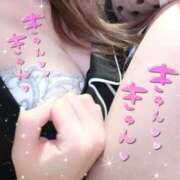 ヒメ日記 2025/09/12 11:37 投稿 にこる ハッピーブリッジ