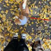 ヒメ日記 2024/12/22 18:18 投稿 かえで Candy×Candy （キャンディ×キャンディ）