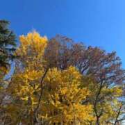 ヒメ日記 2024/12/25 17:26 投稿 かえで Candy×Candy （キャンディ×キャンディ）