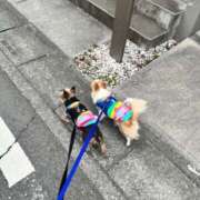 かえで 出勤します☆ Candy×Candy （キャンディ×キャンディ）