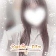 ヒメ日記 2025/04/19 07:20 投稿 あさひ 電車ごっこ