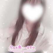 ヒメ日記 2025/04/26 08:20 投稿 あさひ 電車ごっこ