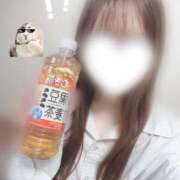 ヒメ日記 2025/07/25 18:10 投稿 あさひ 電車ごっこ