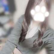 ヒメ日記 2025/12/30 17:56 投稿 あさひ 電車ごっこ