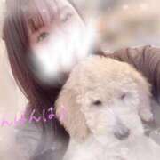 ヒメ日記 2025/01/30 22:40 投稿 かえで 電車ごっこ