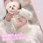 ヒメ日記 2025/02/14 12:20 投稿 かえで 電車ごっこ