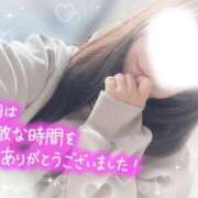 ヒメ日記 2025/02/19 15:20 投稿 かえで 電車ごっこ