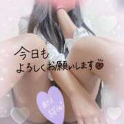 ヒメ日記 2025/02/28 09:59 投稿 かえで 電車ごっこ