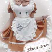 ヒメ日記 2025/03/11 10:50 投稿 かえで 電車ごっこ