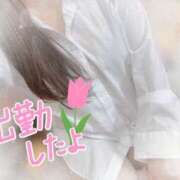 ヒメ日記 2025/03/26 10:10 投稿 かえで 電車ごっこ