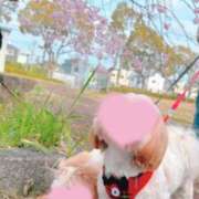 ヒメ日記 2025/04/06 23:50 投稿 かえで 電車ごっこ