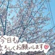 ヒメ日記 2025/04/07 08:30 投稿 かえで 電車ごっこ