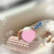 ヒメ日記 2025/04/16 13:54 投稿 かえで 電車ごっこ