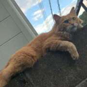 ヒメ日記 2025/04/21 23:50 投稿 かえで 電車ごっこ