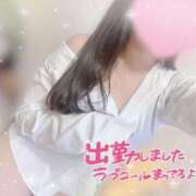 ヒメ日記 2025/04/26 08:40 投稿 かえで 電車ごっこ