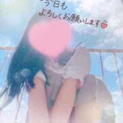 ヒメ日記 2025/04/28 08:50 投稿 かえで 電車ごっこ