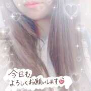 ヒメ日記 2025/04/29 07:50 投稿 かえで 電車ごっこ