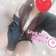 ヒメ日記 2025/04/30 13:30 投稿 かえで 電車ごっこ