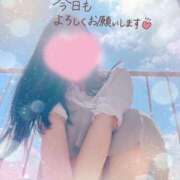 ヒメ日記 2025/05/13 08:20 投稿 かえで 電車ごっこ