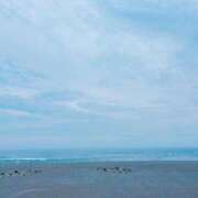 ヒメ日記 2025/05/21 14:00 投稿 かえで 電車ごっこ