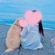 ヒメ日記 2025/05/21 15:20 投稿 かえで 電車ごっこ