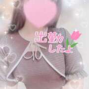 ヒメ日記 2025/05/23 10:50 投稿 かえで 電車ごっこ