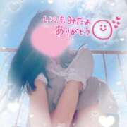 ヒメ日記 2025/05/27 11:22 投稿 かえで 電車ごっこ