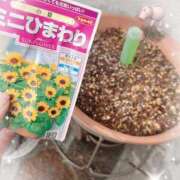 ヒメ日記 2025/06/08 20:20 投稿 かえで 電車ごっこ