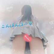 ヒメ日記 2025/07/01 00:00 投稿 かえで 電車ごっこ