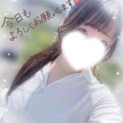 ヒメ日記 2025/07/15 08:35 投稿 かえで 電車ごっこ