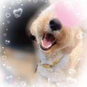 ヒメ日記 2025/07/23 21:10 投稿 かえで 電車ごっこ