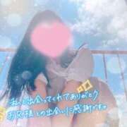 ヒメ日記 2025/07/31 12:50 投稿 かえで 電車ごっこ