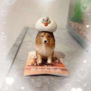 ヒメ日記 2025/08/05 21:20 投稿 かえで 電車ごっこ