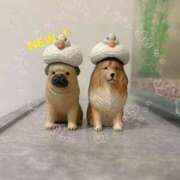 ヒメ日記 2025/08/06 21:34 投稿 かえで 電車ごっこ