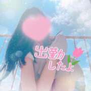 ヒメ日記 2025/08/11 08:50 投稿 かえで 電車ごっこ